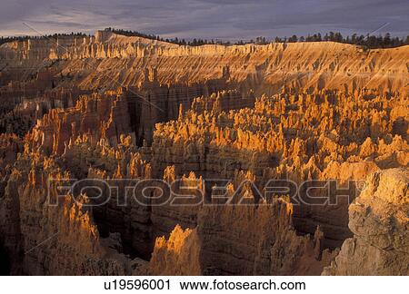 Stock Image -  Bryce Canyon, Bryce Canyon National Park, Paunsaugunt Plateau, Utah, Early morning light creates a spectacular view of jagged colorful rock formations and pillars called hoodoos in the canyon of Bryce Canyon Nat'l Park in the state of Utah.. Fotosearch