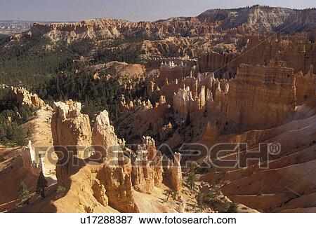 Bryce Canyon, Bryce Canyon National Park, Paunsaugunt Plateau, Utah, Spectacular view of jagged colorful rock formations and pillars called hoodoos in the canyon of Bryce Canyon Nat'l Park in the state of Utah. View Large Photo Image Stock Photo - Bryce Canyon, Bryce Canyon National Park, Paunsaugunt Plateau, Utah, Spectacular view of jagged colorful rock formations and pillars called hoodoos in the canyon of Bryce Canyon Nat'l Park in the state of Utah.. Fotosearch