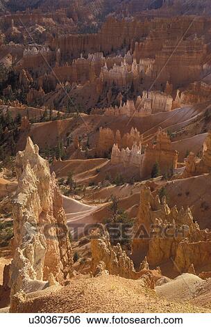 Bryce Canyon, Bryce Canyon National Park, Paunsaugunt Plateau, Utah, Spectacular view of jagged colorful rock formations and pillars called hoodoos in the canyon of Bryce Canyon Nat'l Park in the state of Utah. View Large Photo Image Stock Photograph - Bryce Canyon, Bryce Canyon National Park, Paunsaugunt Plateau, Utah, Spectacular view of jagged colorful rock formations and pillars called hoodoos in the canyon of Bryce Canyon Nat'l Park in the state of Utah.. Fotosearch