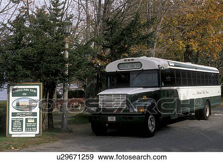 bus, Maine, Bar Harbor, Green and white Acadia National Park Tour Bus. View Large Photo Image Stock Photo - bus, Maine, Bar Harbor, Green and white Acadia National Park Tour Bus. . Fotosearch