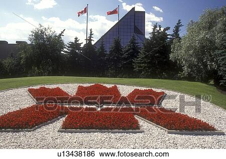 Stock Photograph -  Canada, Manitoba, Winnipeg, Red & white floral design decorates the lawn of the Royal Canadian Mint in Winnipeg.. Fotosearch