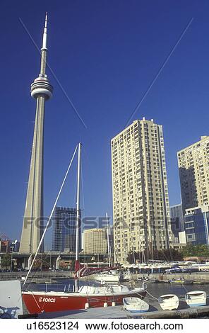 Picture -  Canada, Ontario, Toronto, Downtown skyline of Toronto and CN Tower from Harborfront Center in Lake Ontario. . Fotosearch