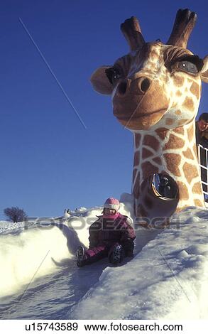 Canada, Quebec, carnaval, Children slide down giraffe slide at Place Desjardins during the Winter Carnival in Old Quebec City. View Large Photo Image Stock Photo - Canada, Quebec, carnaval, Children slide down giraffe slide at Place Desjardins during the Winter Carnival in Old Quebec City. . Fotosearch