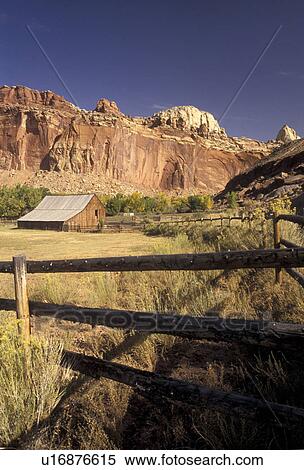 Capitol Reef, Capitol Reef National Park, Utah, A ranch with a western style barn stands below the magnificent reef-like cliffs at Sulfur Creek in Capitol Reef Nat'l Park in the state of Utah. View Large Photo Image Stock Photography - Capitol Reef, Capitol Reef National Park, Utah, A ranch with a western style barn stands below the magnificent reef-like cliffs at Sulfur Creek in Capitol Reef Nat'l Park in the state of Utah.. Fotosearch