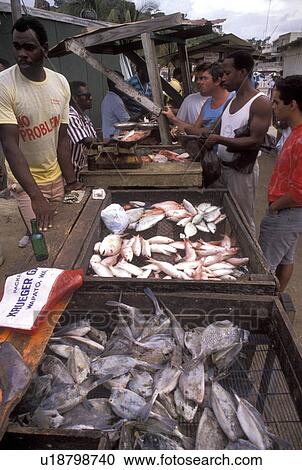 Stock Image -  Caribbean, market, St. Martin, Marigot, Caribbean Islands, Local people [buying, selling] fish at fish market in Marigot the French capital of the island of Saint Martin (french part).. Fotosearch