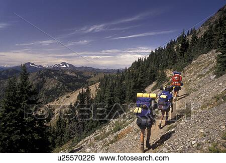 Cascades, hiking, Cascade Range, Pacific Crest Trail, Washington, Three people backpacking on the Pacific Crest Trail in the Northern Cascade Mountains in the state of Washington. View Large Photo Image Stock Photograph - Cascades, hiking, Cascade Range, Pacific Crest Trail, Washington, Three people backpacking on the Pacific Crest Trail in the Northern Cascade Mountains in the state of Washington. . Fotosearch