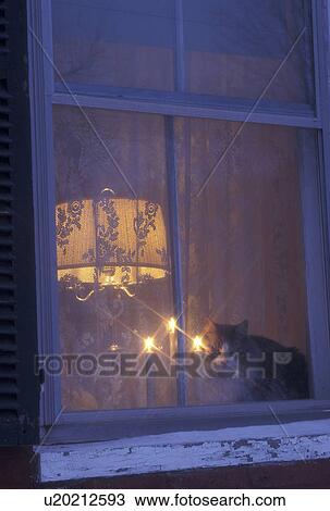 cat, Christmas, window, Vermont, winter, Cat sits in the window of a home with Christmas candles glowing at night in Peacham in Caledonia County in the state of Vermont. View Large Photo Image Stock Image - cat, Christmas, window, Vermont, winter, Cat sits in the window of a home with Christmas candles glowing at night in Peacham in Caledonia County in the state of Vermont. . Fotosearch