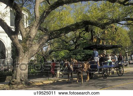 Stock Image -  Charleston, horse-drawn carriage, South Carolina, Carriage ride carries tourists along Meeting Street in the spring in Charleston in the state of South Carolina. . Fotosearch