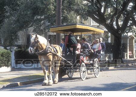 Charleston, horse-drawn carriage, South Carolina, Carriage tours of historic houses along Meeting Street in Charleston, South Carolina. View Large Photo Image Stock Image - Charleston, horse-drawn carriage, South Carolina, Carriage tours of historic houses along Meeting Street in Charleston, South Carolina. . Fotosearch