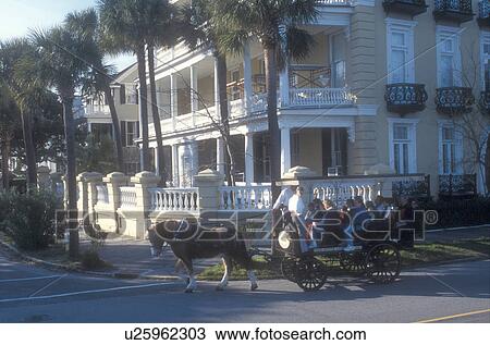 Stock Image -  Charleston, South Carolina, horse-drawn carriage, Carriage tours of historic houses on South Battery Street in Charleston, South Carolina. . Fotosearch