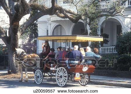 Charleston, South Carolina, horse-drawn carriage, Carriage tours of historic houses along Meeting Street in Charleston, South Carolina. View Large Photo Image Stock Photo - Charleston, South Carolina, horse-drawn carriage, Carriage tours of historic houses along Meeting Street in Charleston, South Carolina. . Fotosearch