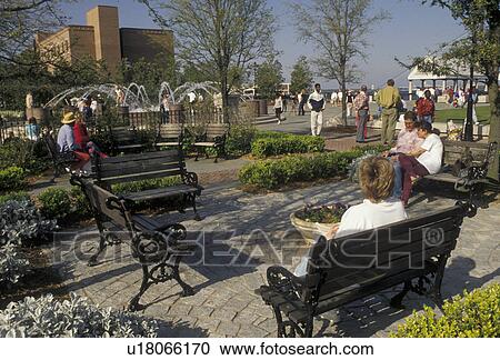 Charleston, Waterfront Park, South Carolina, People enjoying a nice day sitting on benches and walking through gardens in Waterfront Park in Charleston in the state of South Carolina.  View Large Photo Image Stock Image -  Charleston, Waterfront Park, South Carolina, People enjoying a nice day sitting on benches and walking through gardens in Waterfront Park in Charleston in the state of South Carolina. . Fotosearch