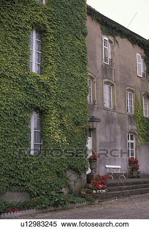 Stock Photography -  chateau, castle, ivy, Lorraine, France, Europe, Moselle, Chateau d'Alteville, a three story building covered with green ivy.. Fotosearch