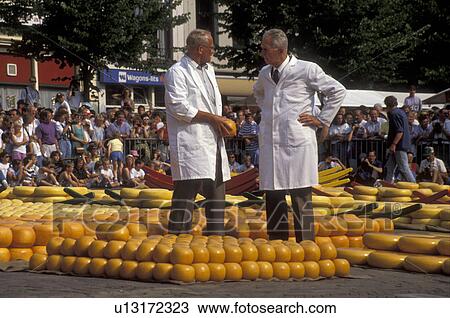 cheese market, Alkmaar, Holland, Netherlands, Europe, Dealers and exporters testing Wheel of cheese (Gouda and red-skinned Edam) at the weekly Cheese Market on the Waagplein in Alkmaar. View Large Photo Image Stock Image - cheese market, Alkmaar, Holland, Netherlands, Europe, Dealers and exporters testing Wheel of cheese (Gouda and red-skinned Edam) at the weekly Cheese Market on the Waagplein in Alkmaar.. Fotosearch