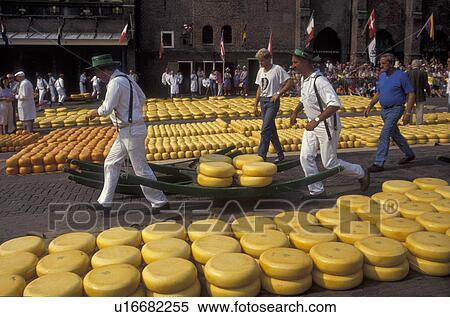 cheese market, Alkmaar, Netherlands, Europe, Costumed porters carrying wheels of cheese (Gouda and red-skinned Edam) on a sledge at the weekly Cheese Market on the Waagplein in Alkmaar. View Large Photo Image Stock Photography - cheese market, Alkmaar, Netherlands, Europe, Costumed porters carrying wheels of cheese (Gouda and red-skinned Edam) on a sledge at the weekly Cheese Market on the Waagplein in Alkmaar.. Fotosearch