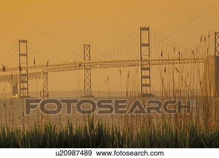 Chesapeake Bay Bridge, bridge, Chesapeake Bay, Maryland, Scenic view of the Chesapeake Bay Bridge crossing the Chesapeake Bay near Annapolis in the early morning light in the state of Maryland. View Large Photo Image Stock Photo - Chesapeake Bay Bridge, bridge, Chesapeake Bay, Maryland, Scenic view of the Chesapeake Bay Bridge crossing the Chesapeake Bay near Annapolis in the early morning light in the state of Maryland. . Fotosearch