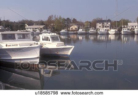 Chesapeake Bay, Maryland, Tilghman Island, Dogwood Harbor, Reflection of boats moored in the calm waters of Dogwood Harbor on Tilgham Island. View Large Photo Image Stock Photo - Chesapeake Bay, Maryland, Tilghman Island, Dogwood Harbor, Reflection of boats moored in the calm waters of Dogwood Harbor on Tilgham Island.. Fotosearch