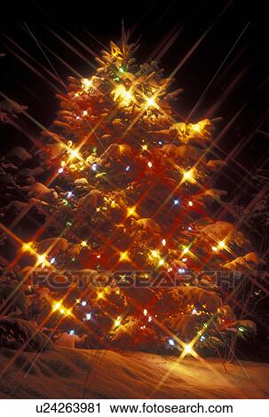 Christmas, tree, lights, Vermont, A snow covered evergreen tree decorated with colorful star lights for the holiday Christmas season. View Large Photo Image Stock Image - Christmas, tree, lights, Vermont, A snow covered evergreen tree decorated with colorful star lights for the holiday Christmas season. . Fotosearch