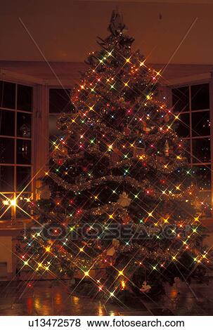 Christmas tree, lights, Vermont, A beautiful tall Christmas tree with tiny colorful lights stands inside a home at night for the holiday season in Essex Junction in Chittenden County in the state of Vermont. View Large Photo Image Stock Photo - Christmas tree, lights, Vermont, A beautiful tall Christmas tree with tiny colorful lights stands inside a home at night for the holiday season in Essex Junction in Chittenden County in the state of Vermont. . Fotosearch