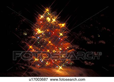 Christmas tree, lights, Vermont, Evergreen tree decorated with colorful Christmas lights for the holiday season at night. View Large Photo Image Stock Photo - Christmas tree, lights, Vermont, Evergreen tree decorated with colorful Christmas lights for the holiday season at night. . Fotosearch
