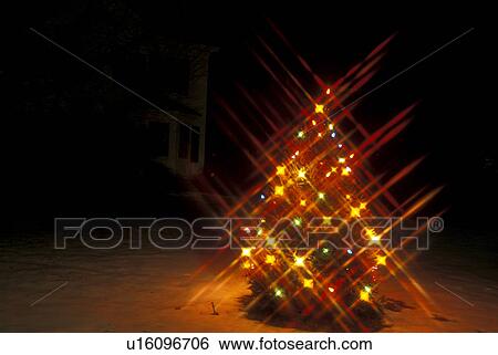 Stock Photograph -  christmas tree, winter, Stockbridge, Berkshires, Massachusetts, Colorful Christmas star lights decorate an evergreen tree on the lawn of a house at night.. Fotosearch