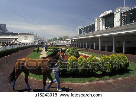 Churchill Downs, race track, horse, Louisville, Kentucky, Trainer exercises a thoroughbred horse at Churchill Downs the historic racetrack of the Kentucky Derby in Louisville in the state of Kentucky. View Large Photo Image Stock Photo - Churchill Downs, race track, horse, Louisville, Kentucky, Trainer exercises a thoroughbred horse at Churchill Downs the historic racetrack of the Kentucky Derby in Louisville in the state of Kentucky.. Fotosearch