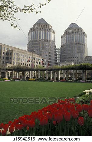 Cincinnati, Ohio, View of Proctor Gamble Buildings in downtown Cincinnati from Fountain Square with red tulips in the spring in the state of Ohio., View Large Photo Image Stock Photography - Cincinnati, Ohio, View of Proctor Gamble Buildings in downtown Cincinnati from Fountain Square with red tulips in the spring in the state of Ohio., . Fotosearch