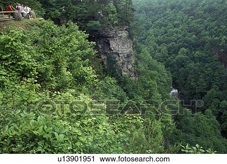 Cloudland Canyon State Park, Appalachian Mountains, forest, North Georgia, Georgia, Overlook shows a scenic view of a waterfall flowing through the dense green forest of Cloudland Canyon State Park near the town of Rising Fawn in the state of Georgia. View Large Photo Image Stock Image - Cloudland Canyon State Park, Appalachian Mountains, forest, North Georgia, Georgia, Overlook shows a scenic view of a waterfall flowing through the dense green forest of Cloudland Canyon State Park near the town of Rising Fawn in the state of Georgia.. Fotosearch