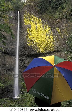 Columbia River Gorge, waterfall, cascade, umbrella, Columbia River, Oregon, Mt. Hood National Forest, Person stands holding a colorful Fujifilm umbrella looking at Latourell Falls at the Columbia River Gorge National Scenic Area in the state of Oregon. View Large Photo Image Stock Photograph - Columbia River Gorge, waterfall, cascade, umbrella, Columbia River, Oregon, Mt. Hood National Forest, Person stands holding a colorful Fujifilm umbrella looking at Latourell Falls at the Columbia River Gorge National Scenic Area in the state of Oregon.. Fotosearch