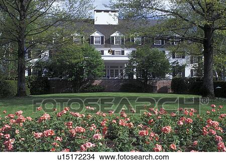 Picture -  country inn, resort, Vermont, VT, Pink geraniums decorate the grounds of the Woodstock Inn & Resort in the town of Woodstock in the spring.. Fotosearch