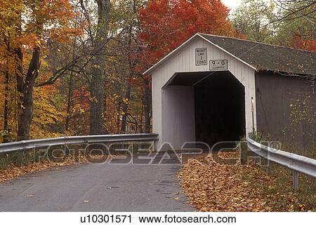 covered bridge, New York, Eagleville, A white painted covered bridge in the fall surrounded by colorful trees. View Large Photo Image Stock Image - covered bridge, New York, Eagleville, A white painted covered bridge in the fall surrounded by colorful trees.. Fotosearch