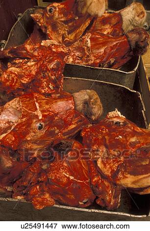 Stock Photo -  cow heads, Patagonia, Chile, Dead cow heads piled in boxes outside a butcher shop in Punta Arenas in Chile.. Fotosearch