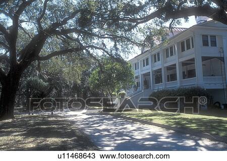 Cumberland Island, inn, Georgia, Greyfield Inn, Spanish moss hangs from live oak trees on the grounds of Greyfield Inn on Cumberland Island National Seashore, Georgia. View Large Photo Image Stock Image - Cumberland Island, inn, Georgia, Greyfield Inn, Spanish moss hangs from live oak trees on the grounds of Greyfield Inn on Cumberland Island National Seashore, Georgia.. Fotosearch
