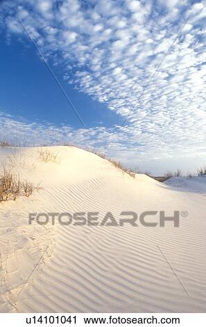 Cumberland Island, sand dune, Georgia, sand, Wind swept sand dunes on the white sand beaches of Cumberland Island National Seashore, Georgia. View Large Photo Image Stock Image - Cumberland Island, sand dune, Georgia, sand, Wind swept sand dunes on the white sand beaches of Cumberland Island National Seashore, Georgia.. Fotosearch