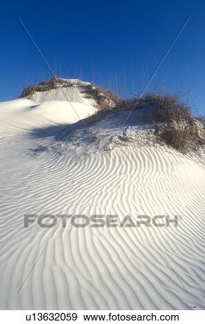 Stock Photo -  Cumberland Island, sand dune, Georgia, sand, Wind swept sand dunes on the white sand beaches of Cumberland Island National Seashore, Georgia.. Fotosearch