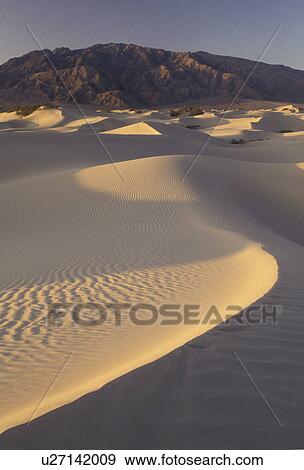 Death Valley, sand dunes, Death Valley National Park, Mojave Desert, California, Sand dunes in the early morning light with the Panamint Mountains in the distance in Death Valley Nat'l Park in the state of California. View Large Photo Image Stock Photo - Death Valley, sand dunes, Death Valley National Park, Mojave Desert, California, Sand dunes in the early morning light with the Panamint Mountains in the distance in Death Valley Nat'l Park in the state of California.. Fotosearch