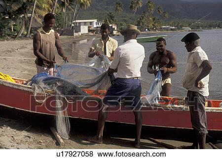 Dominica, Caribbean, Caribbean Islands, Local fishermen taking fish out of fishing nets on the beach in Portsmouth on the island of Dominica. View Large Photo Image Stock Photo - Dominica, Caribbean, Caribbean Islands, Local fishermen taking fish out of fishing nets on the beach in Portsmouth on the island of Dominica.. Fotosearch