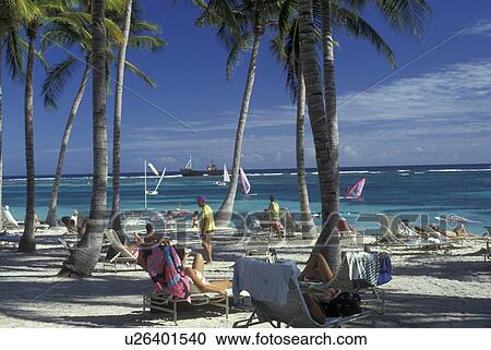 Dominican Republic, Caribbean, Club Med, resort, beach, Caribbean Islands, People relaxing in lounge chairs under palm trees on the beach at Club Med in Punta Cana in the Dominican Republic. View Large Photo Image Stock Image - Dominican Republic, Caribbean, Club Med, resort, beach, Caribbean Islands, People relaxing in lounge chairs under palm trees on the beach at Club Med in Punta Cana in the Dominican Republic.. Fotosearch