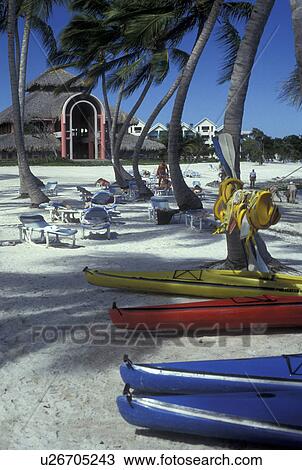 Dominican Republic, Caribbean, resort, beach, Caribbean Islands, Punta Cana, People in lounge chairs and sea kayaks under palm trees on the beach at Punta Cana Beach Resort in Punta Cana in the Dominican Republic. View Large Photo Image Stock Image - Dominican Republic, Caribbean, resort, beach, Caribbean Islands, Punta Cana, People in lounge chairs and sea kayaks under palm trees on the beach at Punta Cana Beach Resort in Punta Cana in the Dominican Republic.. Fotosearch
