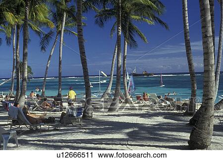 Dominican Republic, Club Med, resort, Caribbean, Punta Cana, Caribbean Islands, People relaxing in lounge chairs under palm trees on the beach at Club Med in Punta Cana in the Dominican Republic. View Large Photo Image Stock Image - Dominican Republic, Club Med, resort, Caribbean, Punta Cana, Caribbean Islands, People relaxing in lounge chairs under palm trees on the beach at Club Med in Punta Cana in the Dominican Republic.. Fotosearch