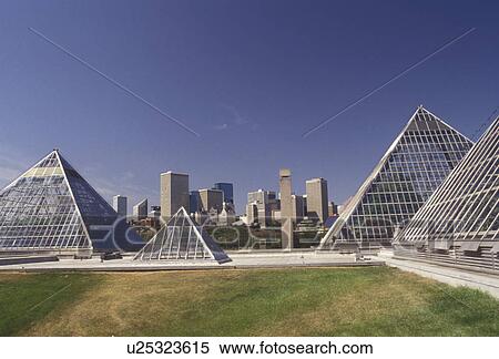 Stock Photography -  Edmonton, Alberta, Muttart Conservatory, Canada, Muttart Conservatory consists of five pyramid-shaped greenhouses in Edmonton in the province of Alberta. Skyline of Edmonton in the distance.. Fotosearch