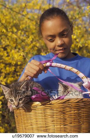 american girl kitten