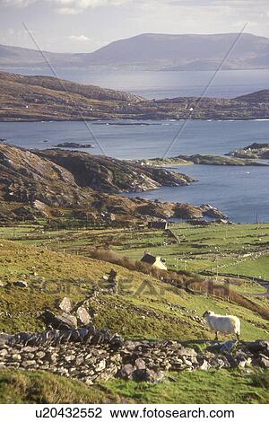 Europe, Republic of Ireland, Ireland, Ring of Kerry, Iveragh, Scenic view of the lush green pastures and beautiful countryside at Sheehan's Point on the Atlantic Ocean in County Kerry. View Large Photo Image Stock Image - Europe, Republic of Ireland, Ireland, Ring of Kerry, Iveragh, Scenic view of the lush green pastures and beautiful countryside at Sheehan's Point on the Atlantic Ocean in County Kerry.. Fotosearch