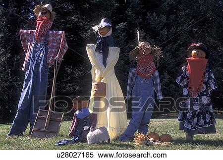 Stock Photography -  fall decoration, Vermont, A family of scarecrows with pumpkinheads are displayed on the lawn in the town of Groton in the fall in Caledonia County in the state of Vermont., . Fotosearch