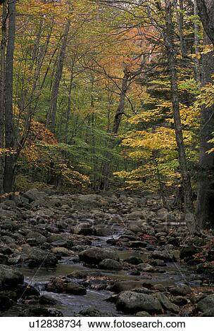 fall, stream, Maine, White Mountain National Forest, Stream flows over the rocks in the fall. View Large Photo Image Picture - fall, stream, Maine, White Mountain National Forest, Stream flows over the rocks in the fall.. Fotosearch