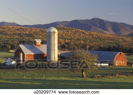 farm, barn, fall, autumn, Vermont, Scenic view of the red barn on Tinker Farm with Mount Mansfield in the background in the fall in Fletcher in Franklin County in the state of Vermont. View Large Photo Image Picture - farm, barn, fall, autumn, Vermont, Scenic view of the red barn on Tinker Farm with Mount Mansfield in the background in the fall in Fletcher in Franklin County in the state of Vermont. . Fotosearch