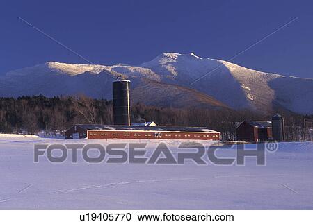 farm, Mt. Mansfield, Vermont, VT, Scenic view of a farm with a red barn and the snow-covered Mt. Mansfield behind in Pleasant Valley in the winter. View Large Photo Image Stock Image - farm, Mt. Mansfield, Vermont, VT, Scenic view of a farm with a red barn and the snow-covered Mt. Mansfield behind in Pleasant Valley in the winter.. Fotosearch