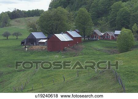 farm, red barn, Vermont, VT, Scenic view of Jenne Farm in Reading in the early spring. View Large Photo Image Stock Photo - farm, red barn, Vermont, VT, Scenic view of Jenne Farm in Reading in the early spring.. Fotosearch