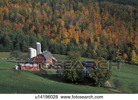Stock Photo -  farm, Vermont, barn, fall, A scenic view of a farm with a red barn with silos in the fall foliage in Barnet Center.. Fotosearch