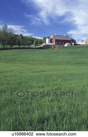 farm, Vermont, VT, A farm with a red barn in South Woodstock in the spring. View Large Photo Image Stock Image - farm, Vermont, VT, A farm with a red barn in South Woodstock in the spring.. Fotosearch